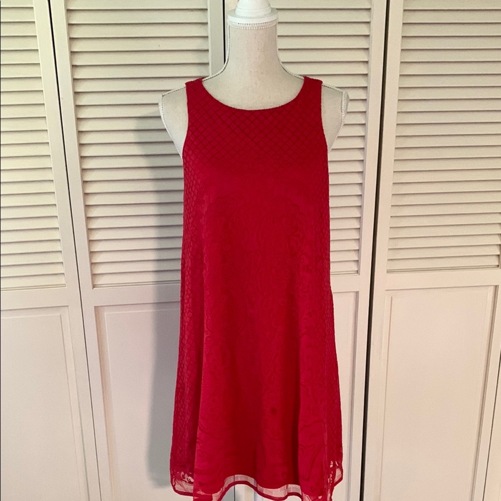 Max Studio Scarlet Lace Dress